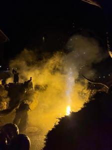 f74d8a36-5a8c-4ed2-a0c1-e646c85693f0 2.JPG