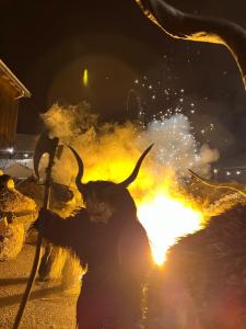 Salvenpass on Tour 2025