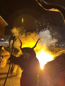 f57dd817-03ac-46bc-af23-e4e1399d3867 2.JPG